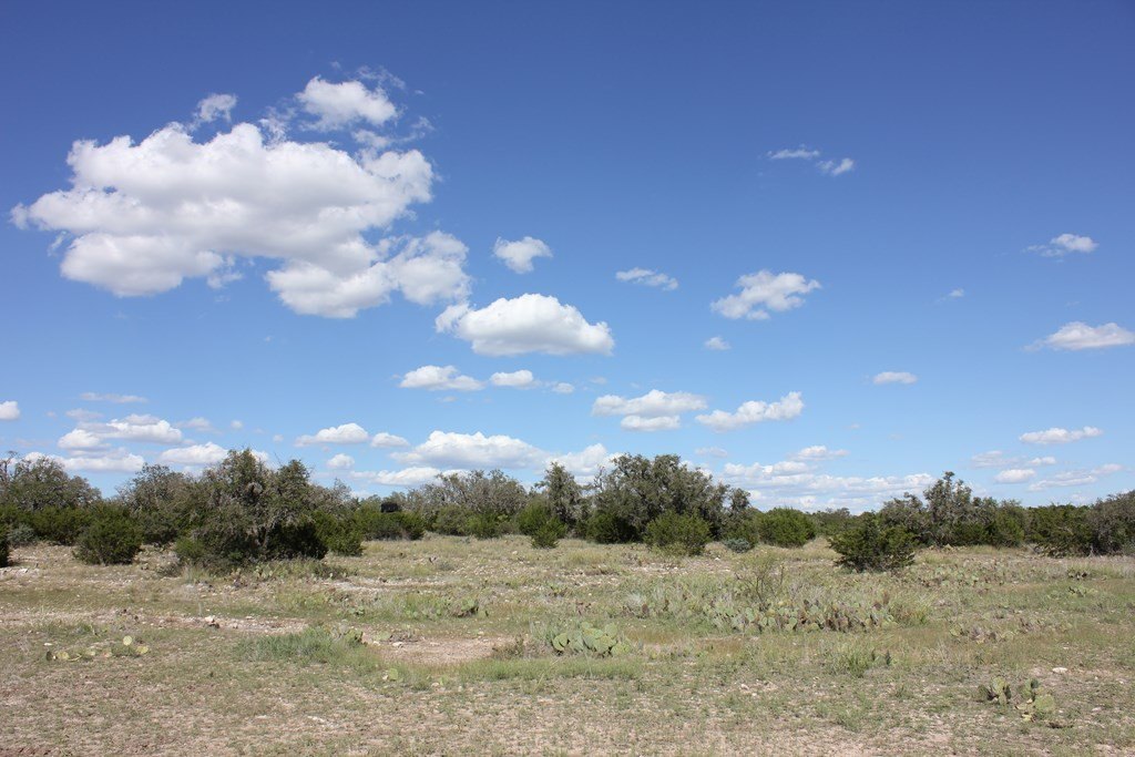 Picture 8