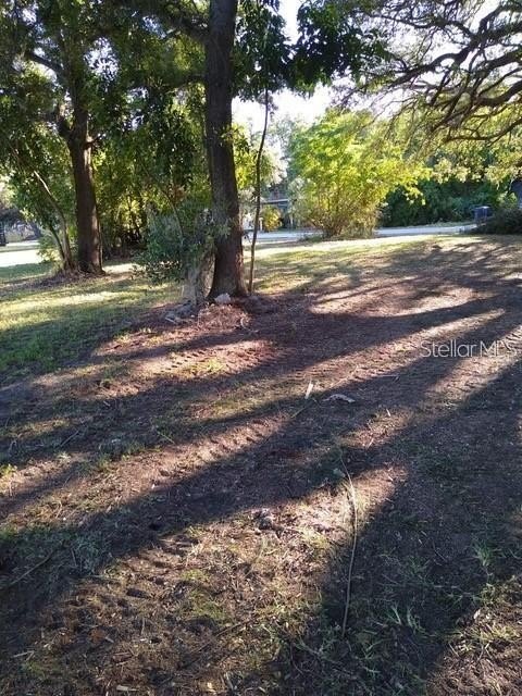 Picture 4