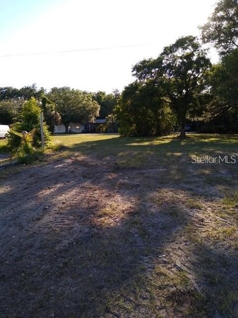 Picture 3