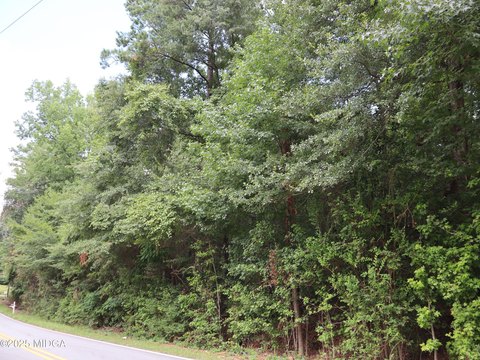 Wooded Lot Near Macon