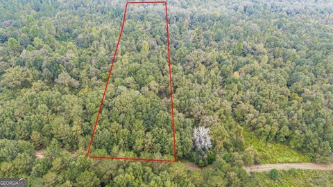 LAND - Oglethorpe, GA