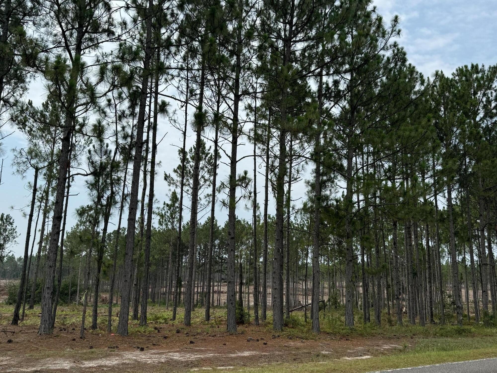 Aiken Land with Equestrian Features