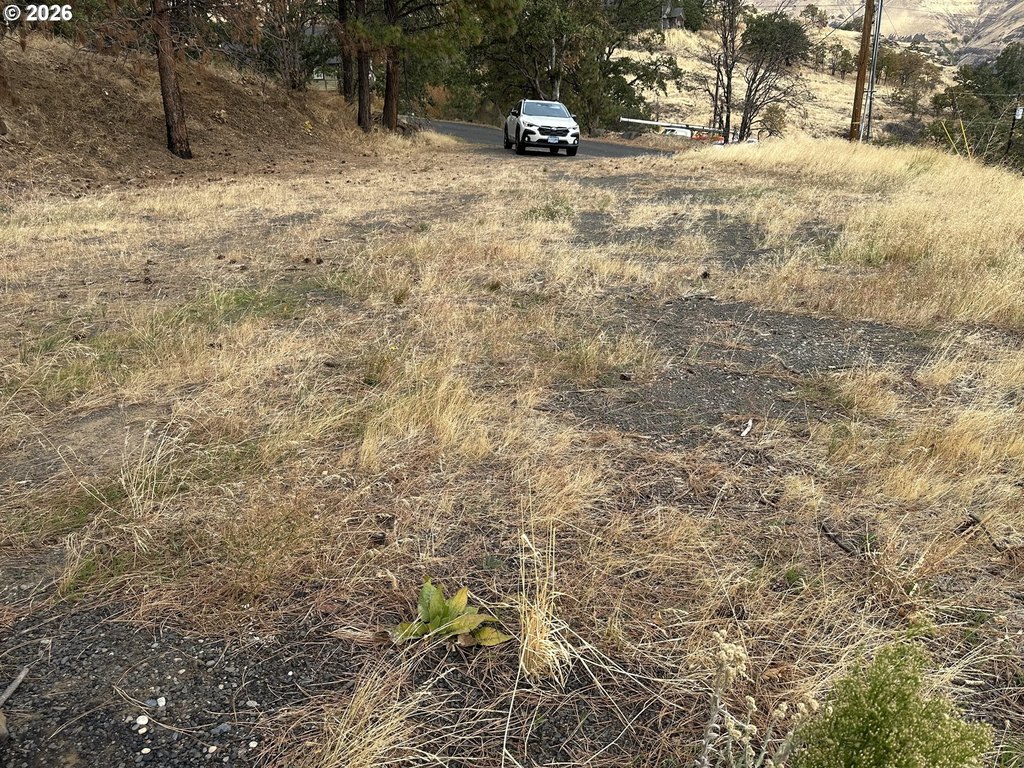 Picture 3