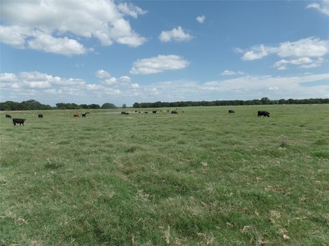 Stephenville Land with Highway Access