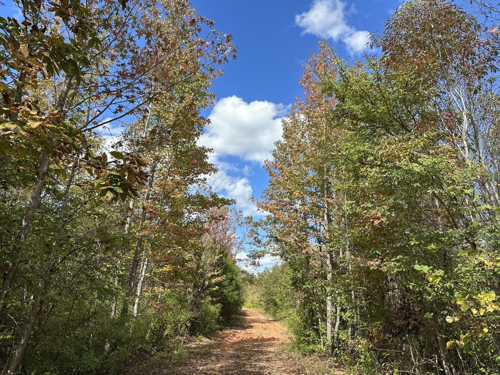 Picture 28