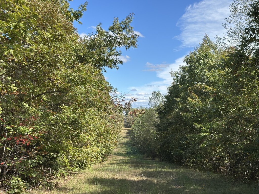 Picture 21