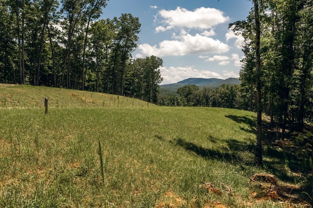 Morganton, GA Vacant Lot