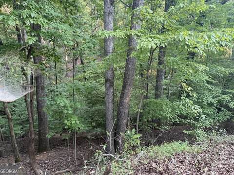 Land, Gainesville, GA