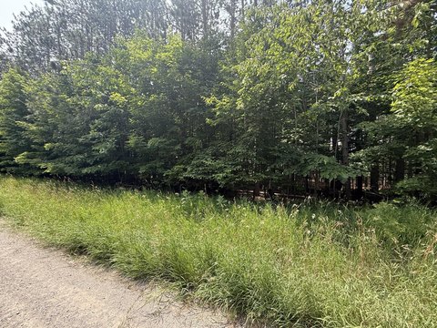 LAND - Cheboygan, MI