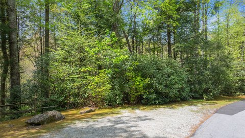 Wooded Lot in Holly Forest