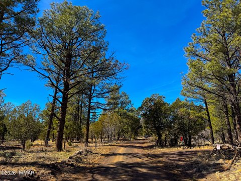 LAND - Vernon, AZ
