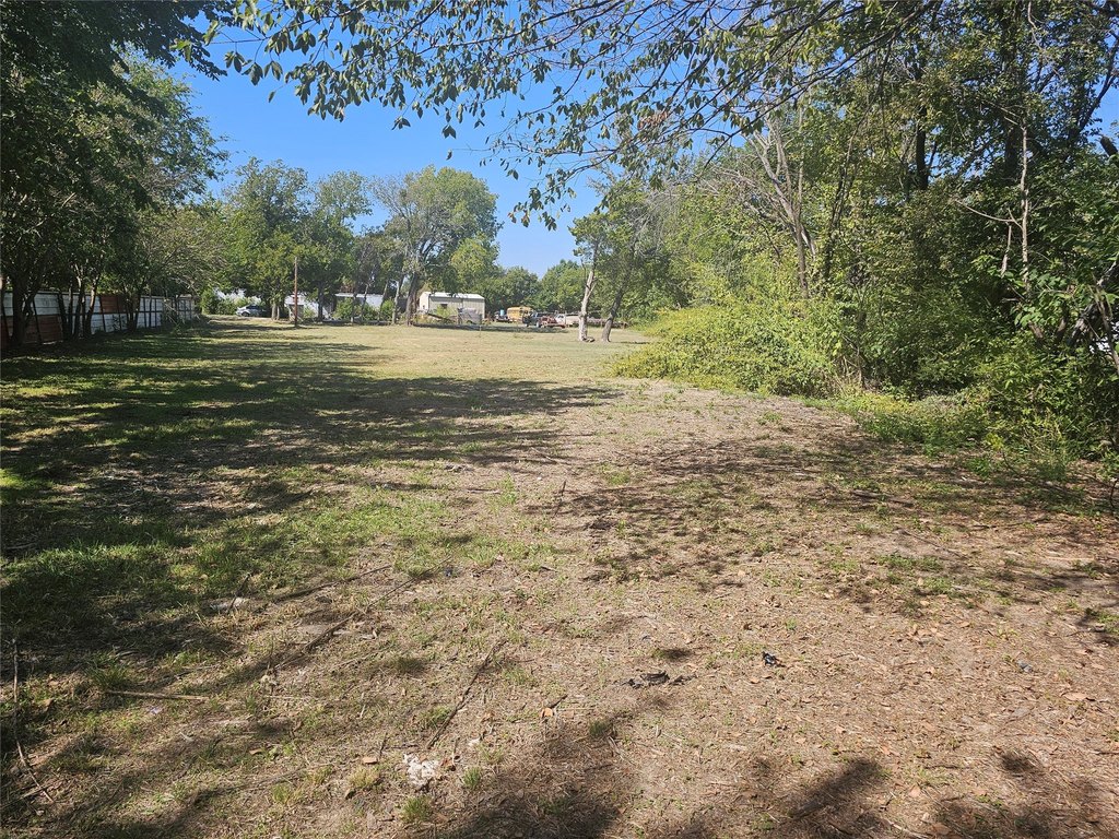 Picture 5
