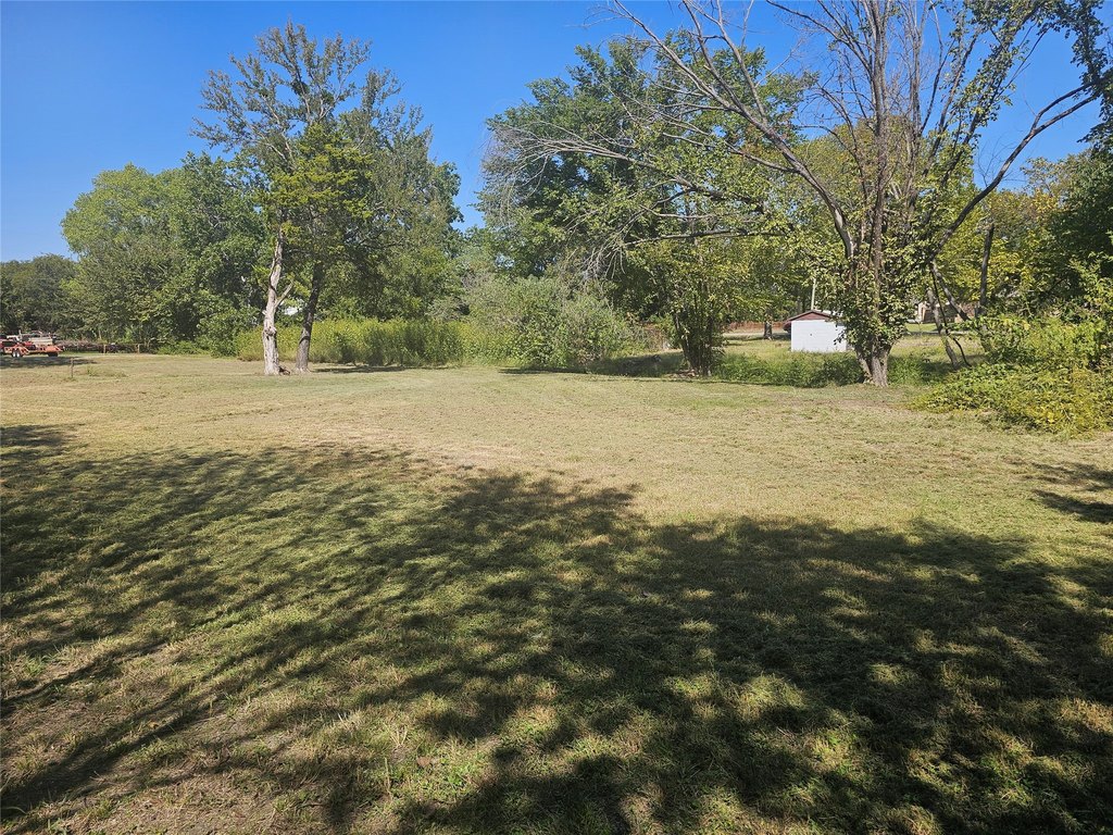 Picture 3