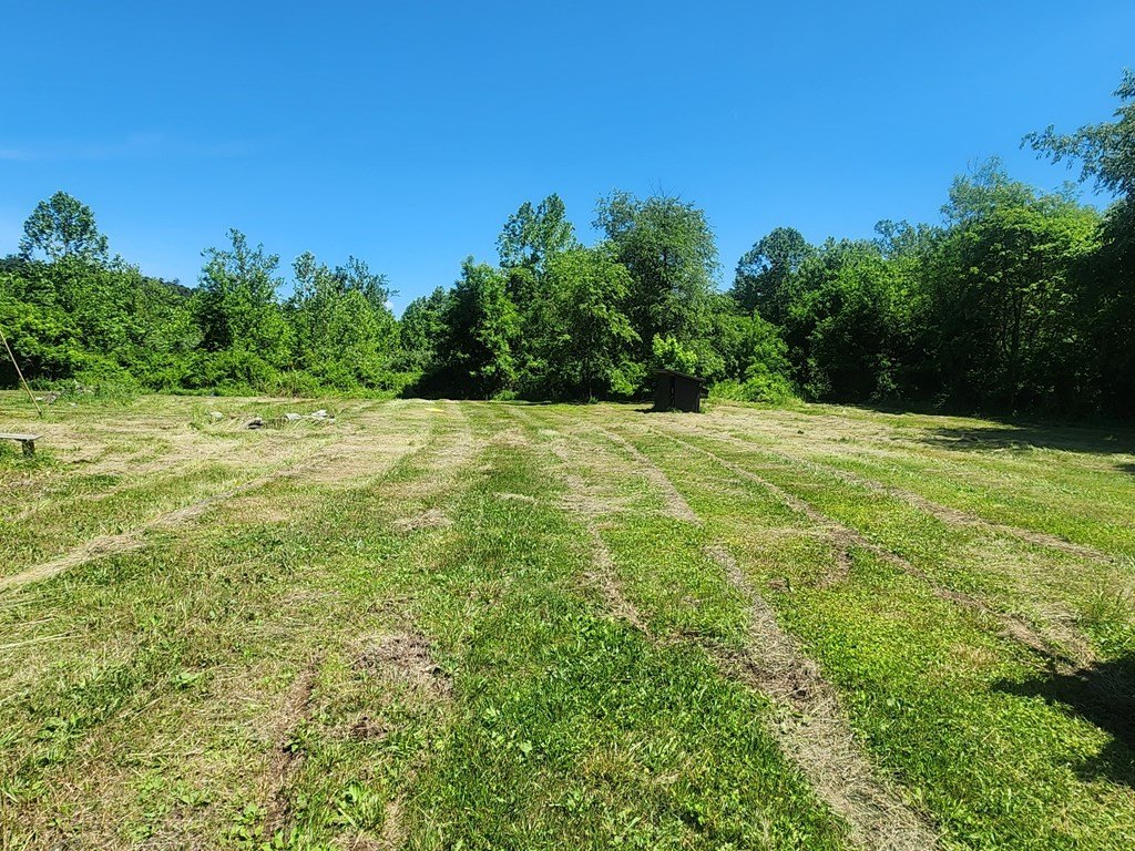 Picture 14