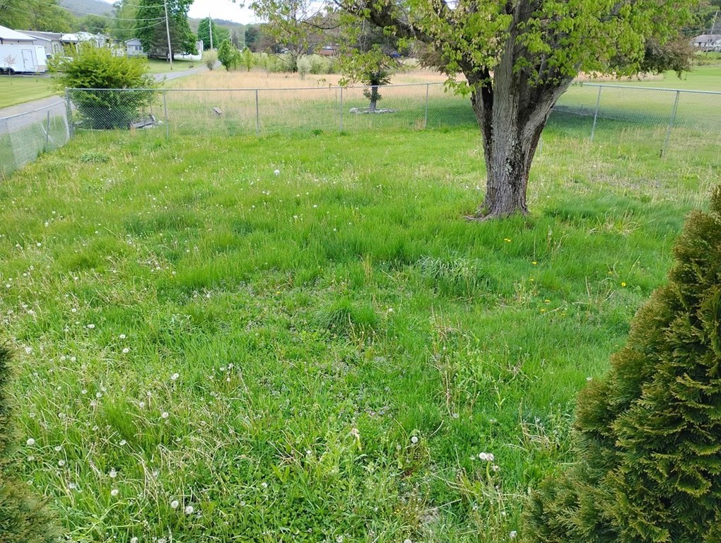 Picture 16