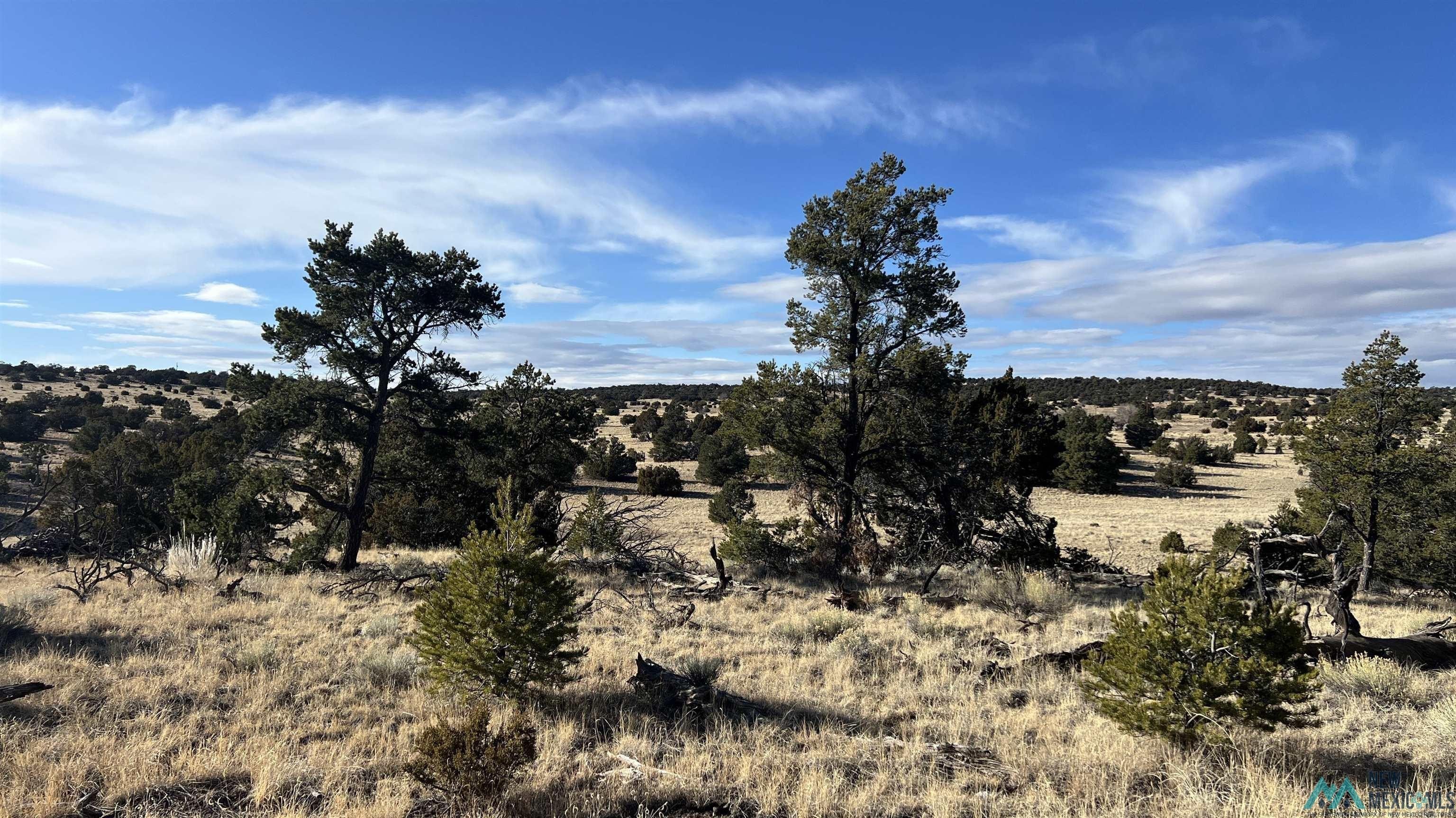 Land in Rural New Mexico