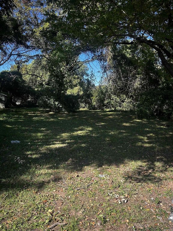 Picture 3