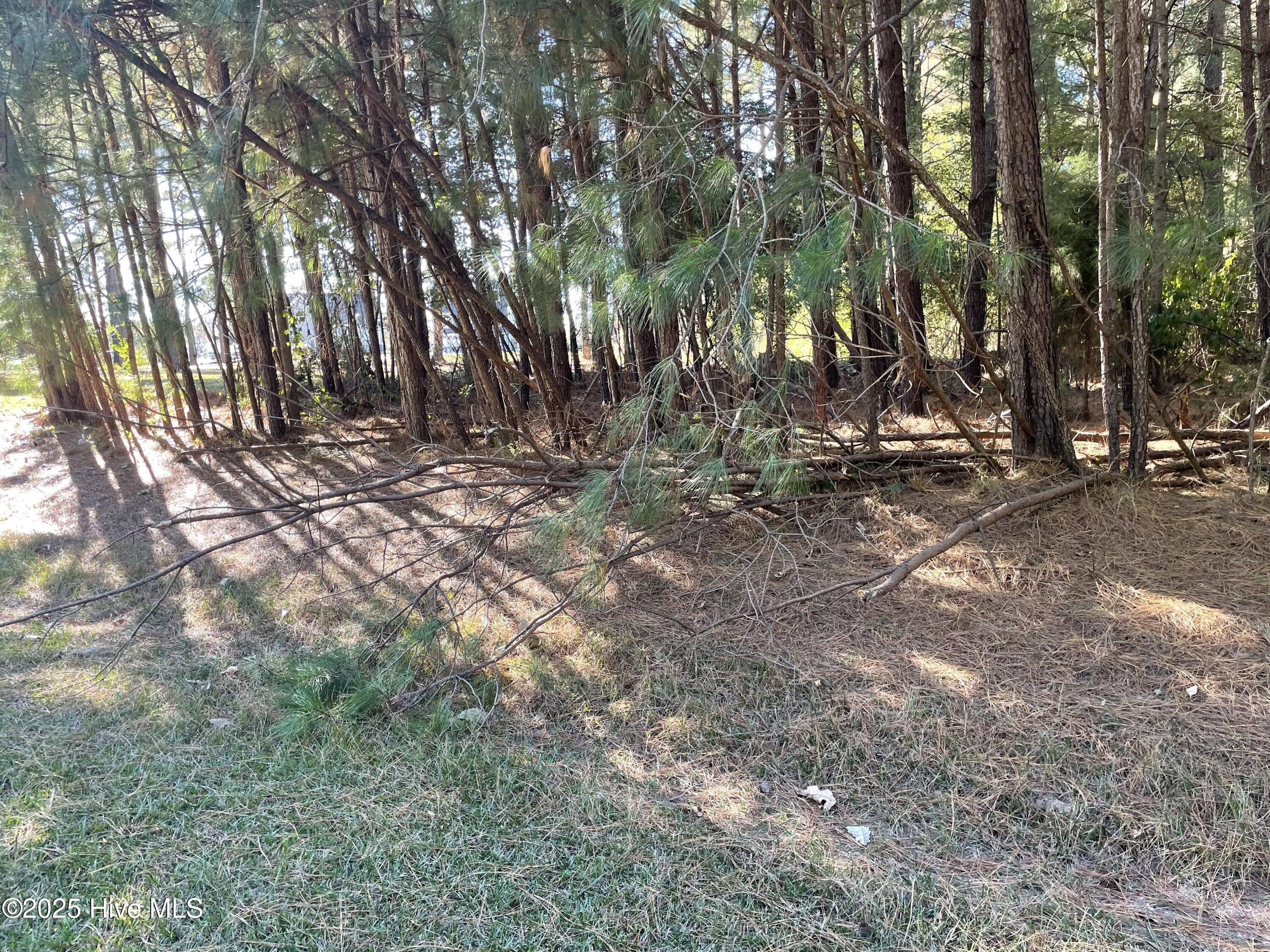 Waterfront Lot in Hertford, NC