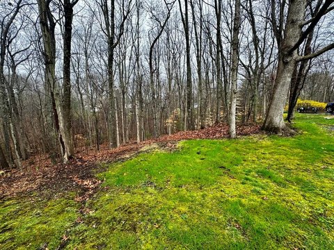 Land in Stanford Acres