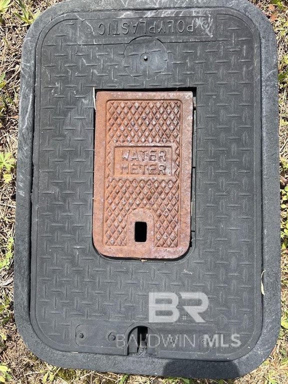 Picture 12