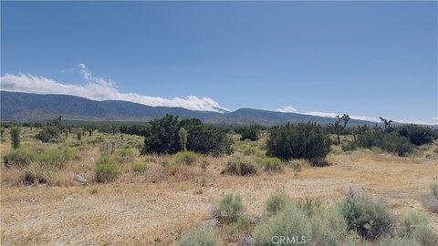 Expansive Land Parcel in Llano