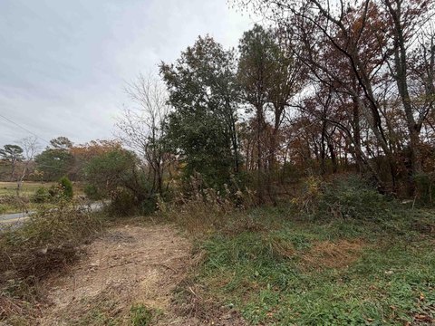 Wooded Land Parcel in Hot Springs