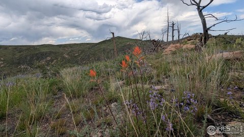 Land, Livermore, CO