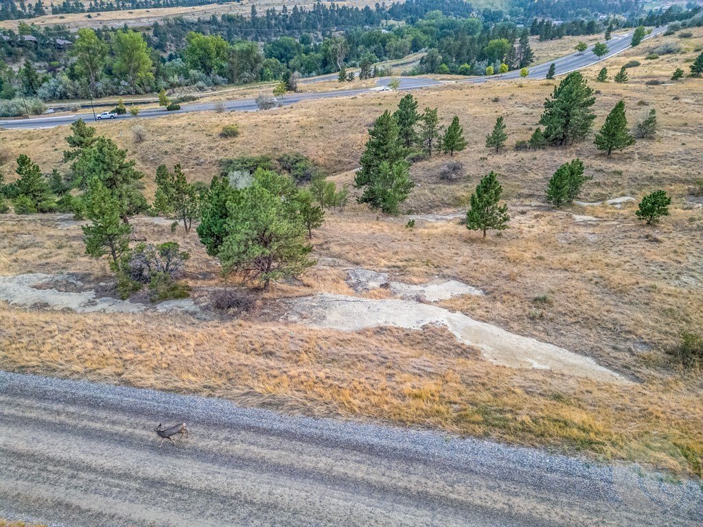 Picture 21