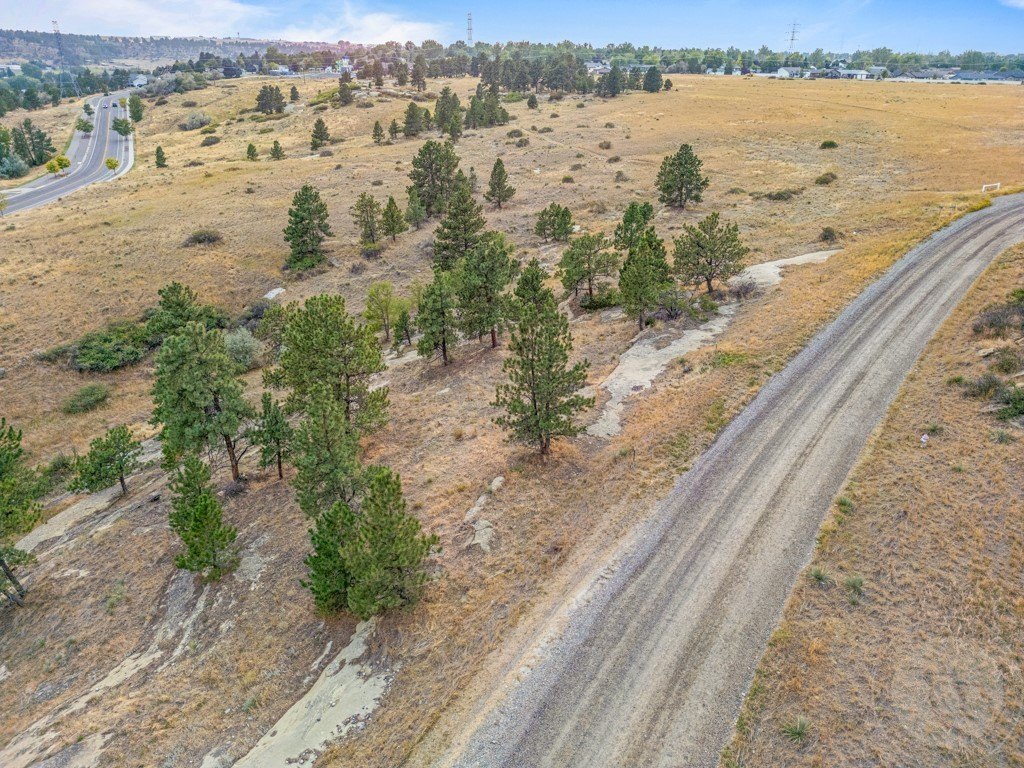 Picture 17