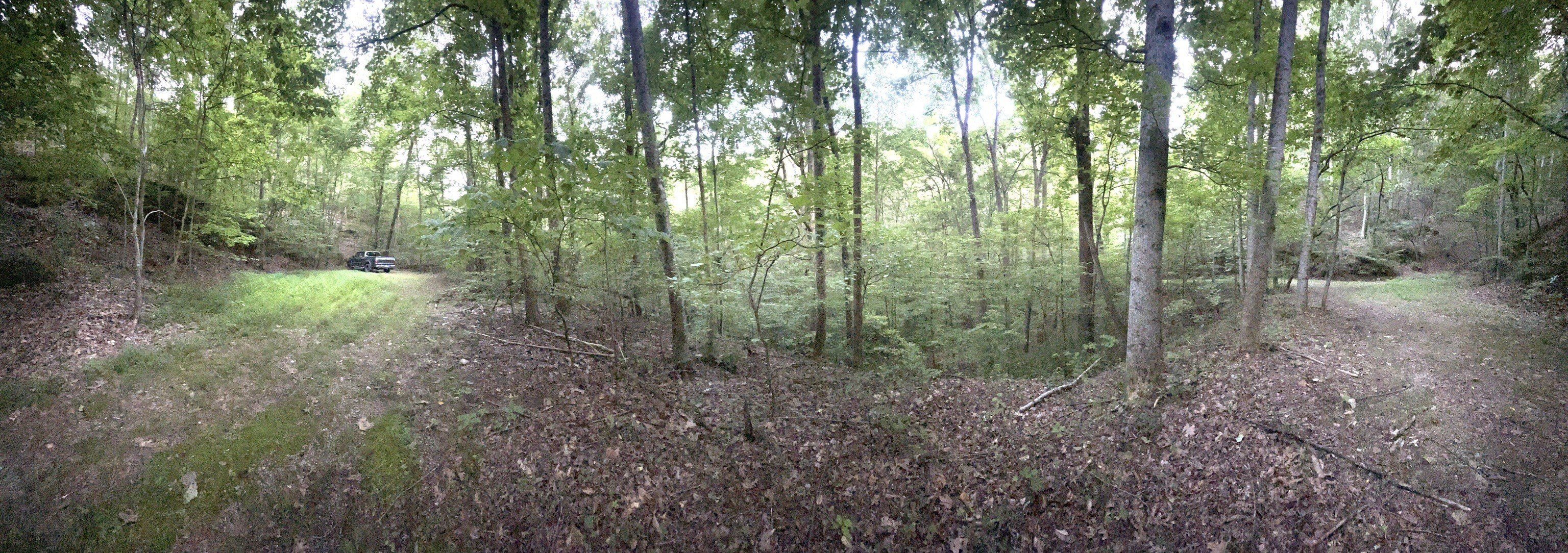 Ranger, GA Secluded Lot
