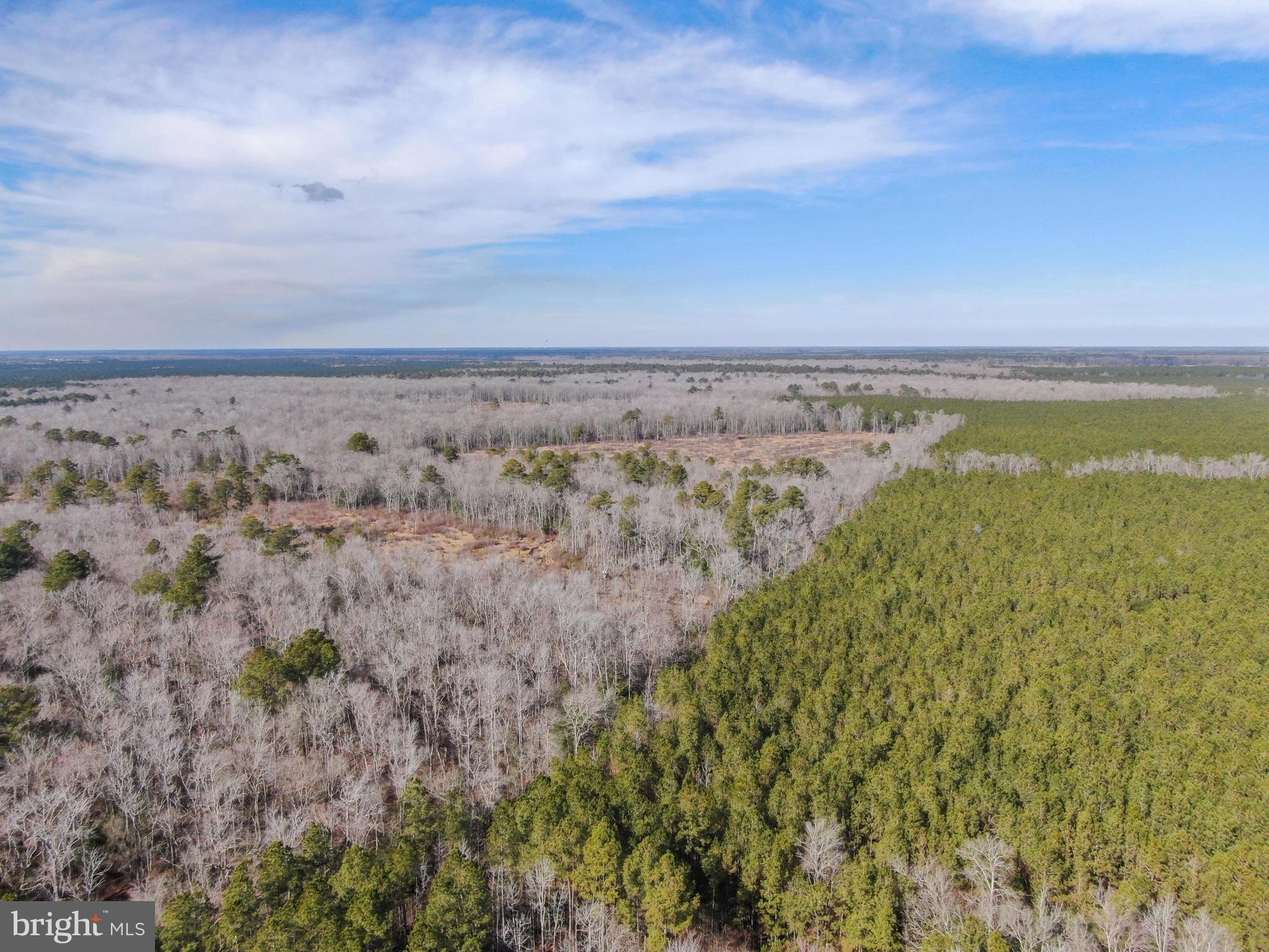 711 Acres of Timberland Complex