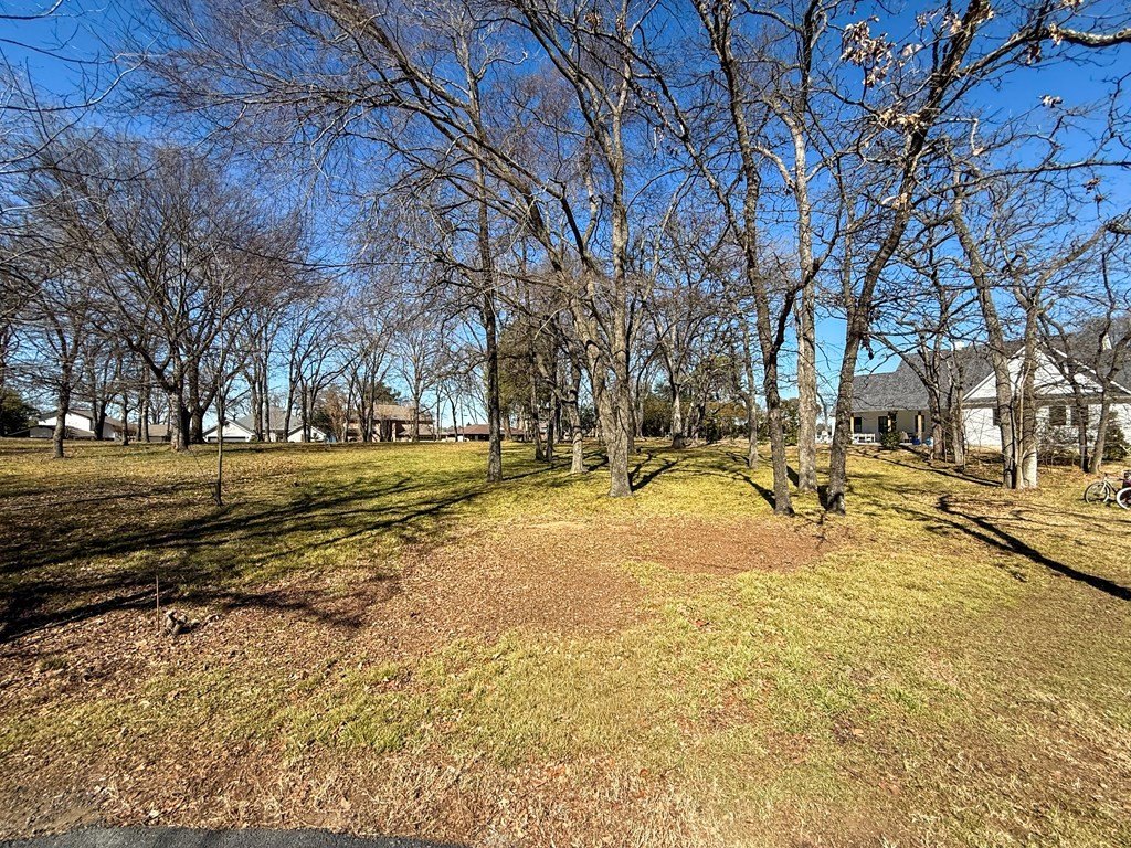 Picture 3