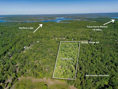 7 Acres Wooded Land