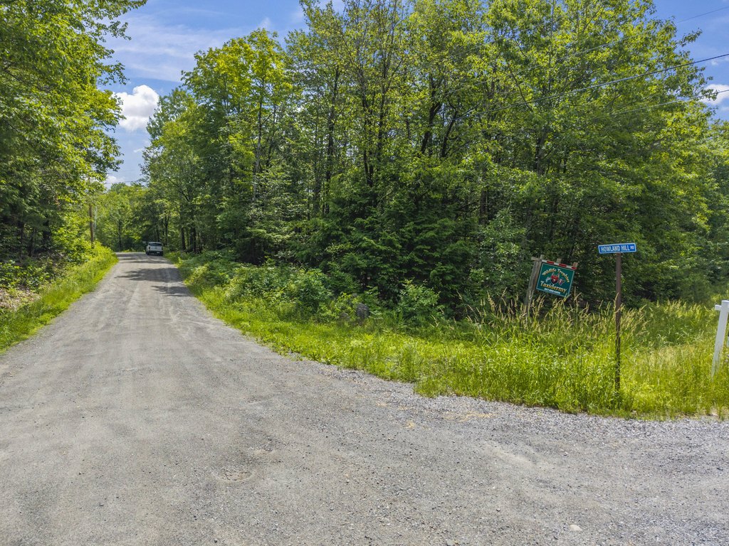 Picture 21