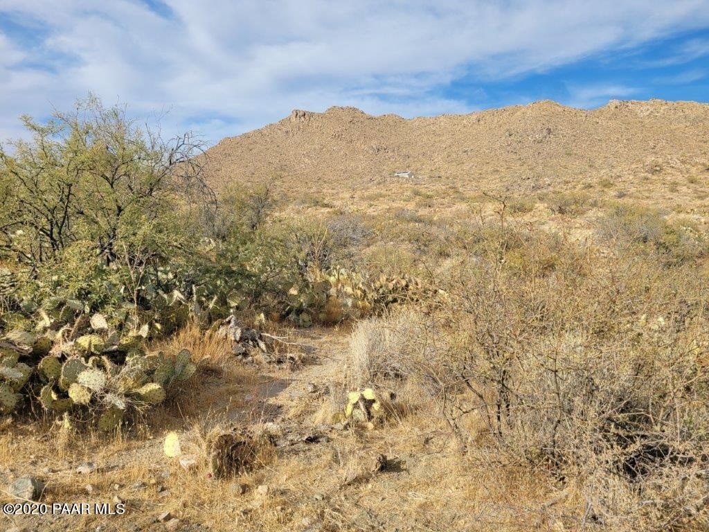 Picture 9