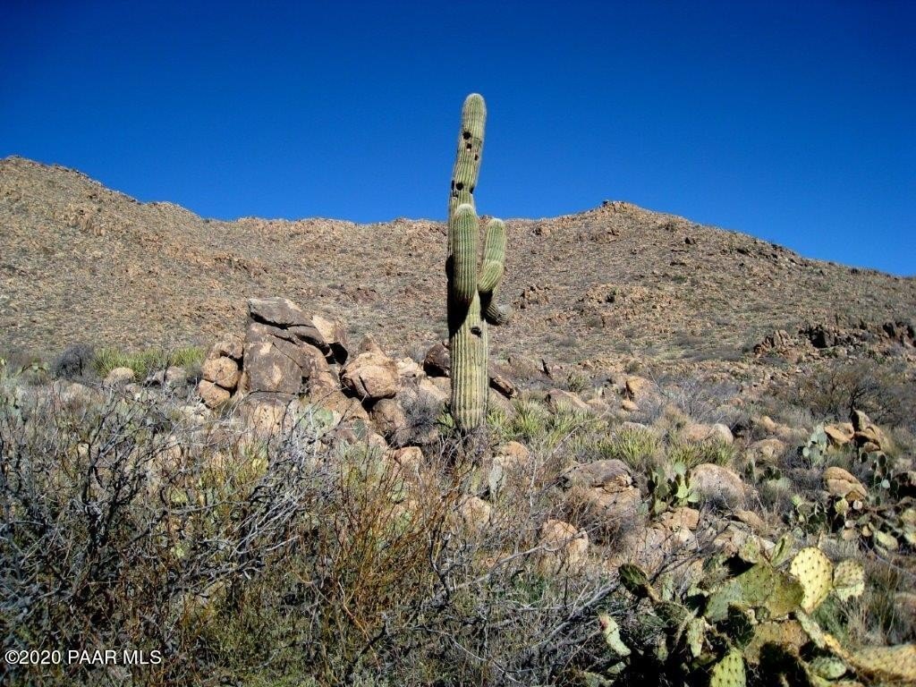 Picture 8