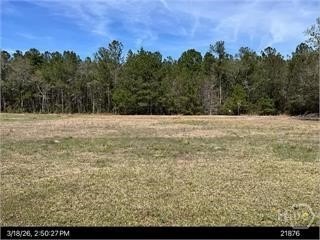 Effingham County Buildable Lot