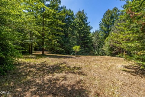 Ready-to-Build Redwood Meadow Parcel