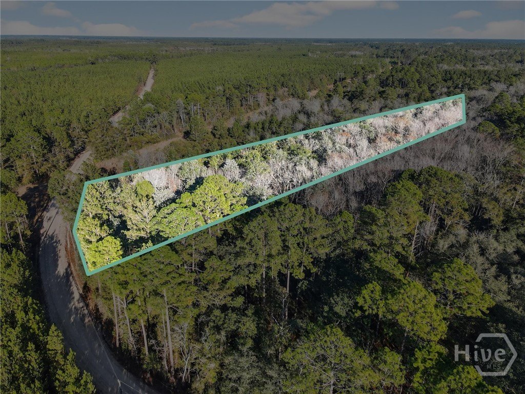 Pembroke, GA 4.91-Acre Land Parcel