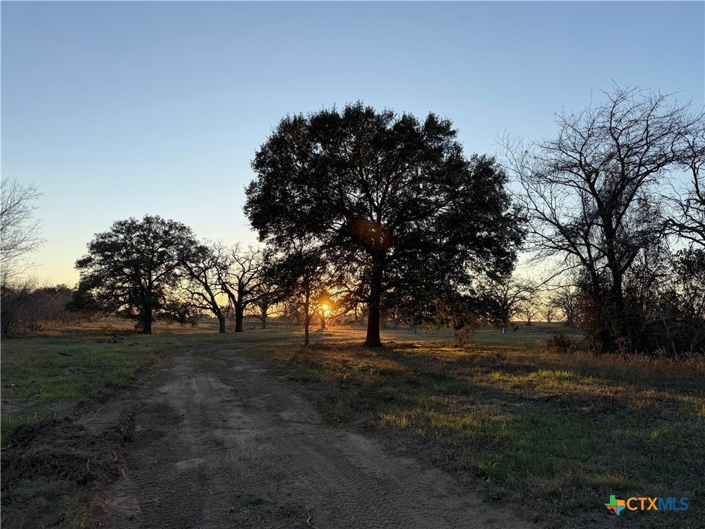 Gonzales Land with Mature Trees