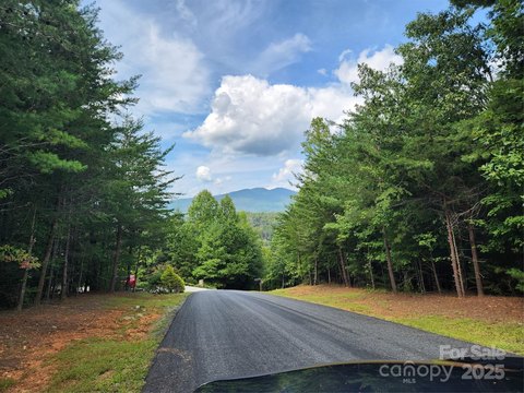 LAND - Nebo, NC
