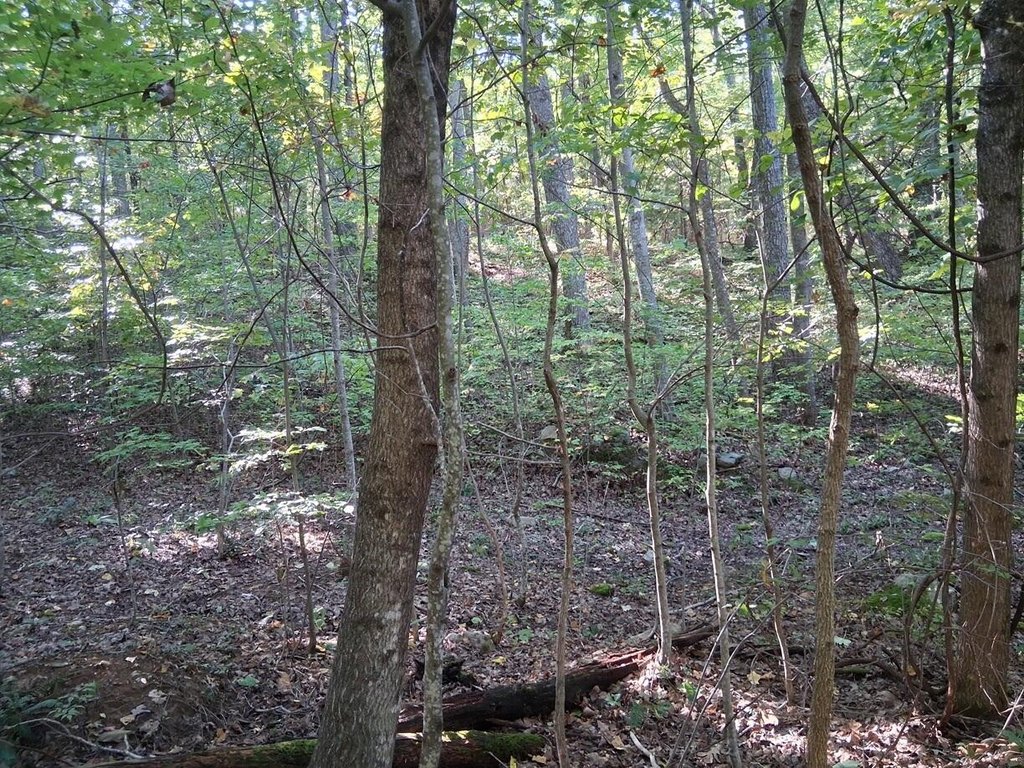 Picture 7