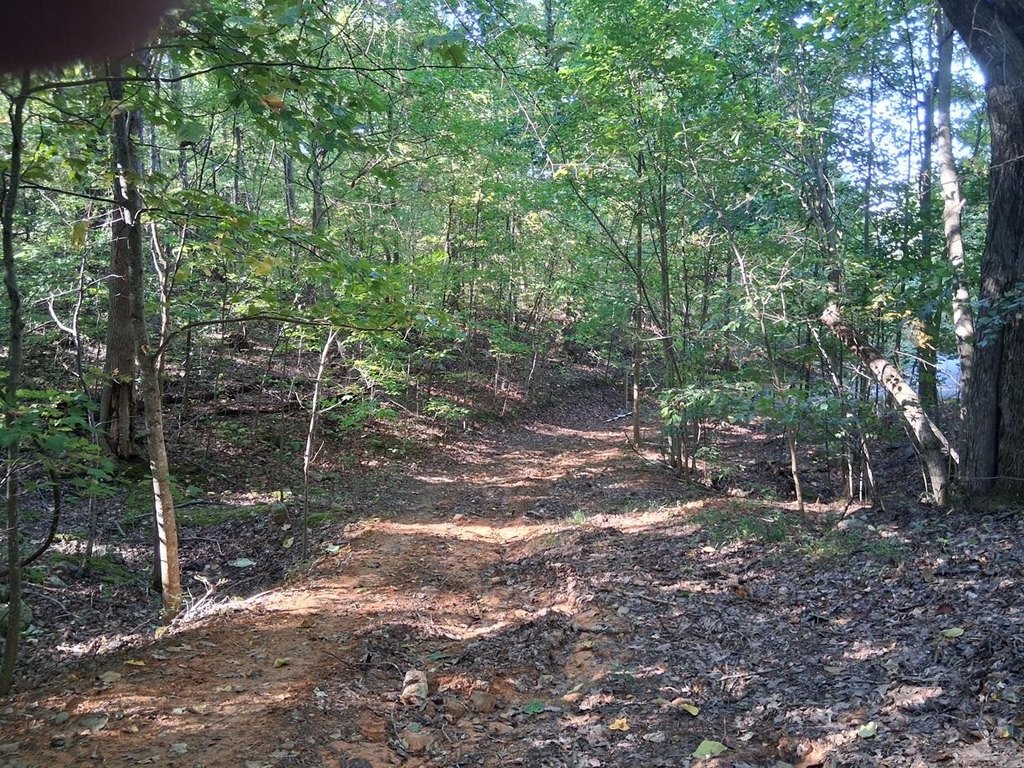 Picture 6