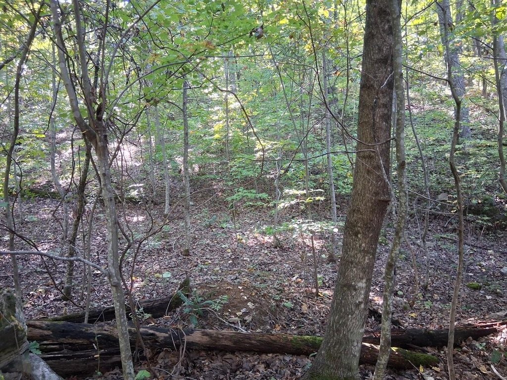 Picture 9