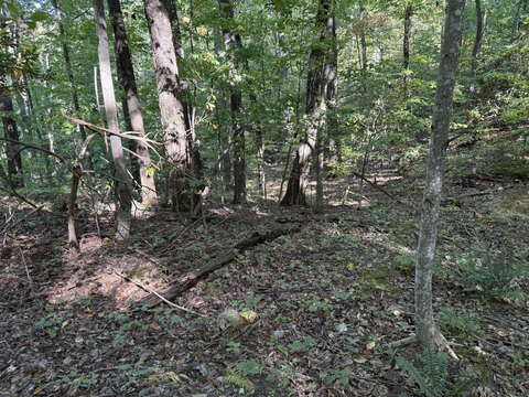 Land, Parrottsville, TN
