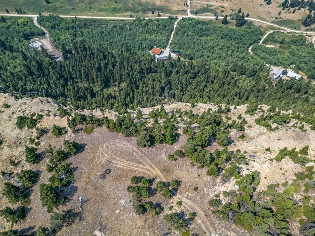 Picture 6