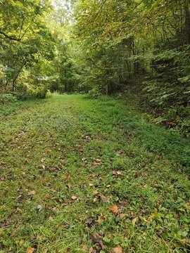 LAND - Robbinsville, NC