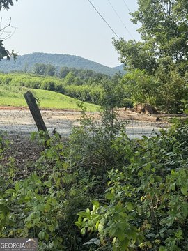Land, Ellijay, GA