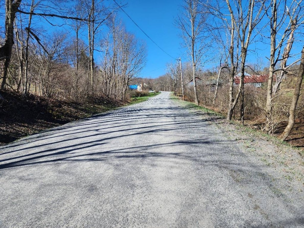 Picture 16