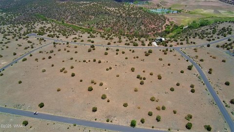 Spacious Residential Land in Show Low